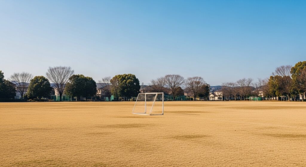 リフティング用サッカーボールの種類比較