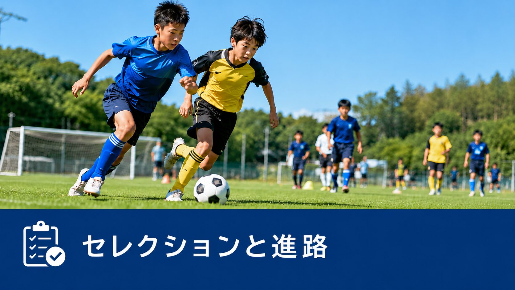 セレクションと進路
